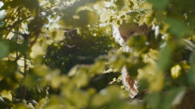 Вверх по волшебному дереву