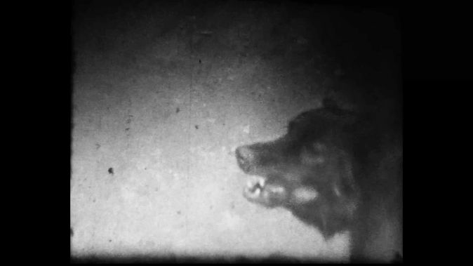 Зимы не будет