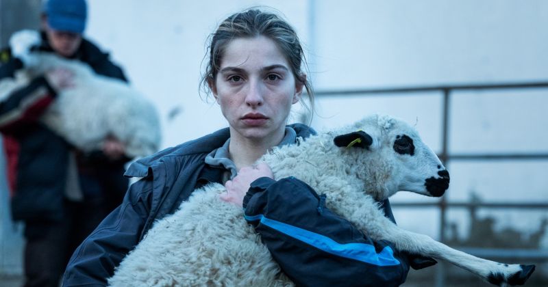 Триллер «Хищники» выйдет в KION