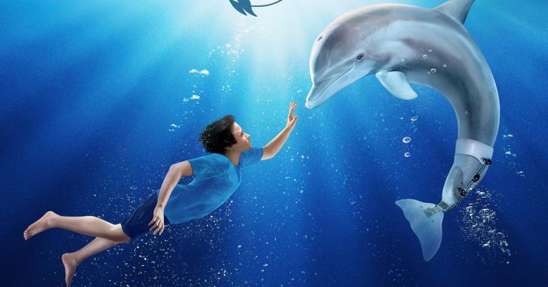 Умерла главная героиня «Истории дельфина» Уинтер