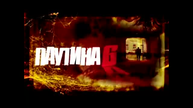 Паутина 6