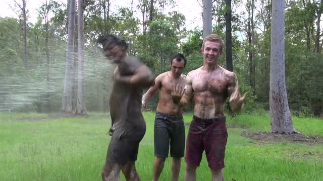 Из тени