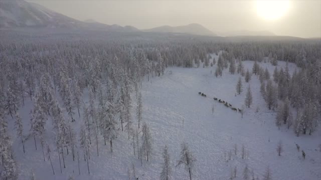 Великий Северный путь