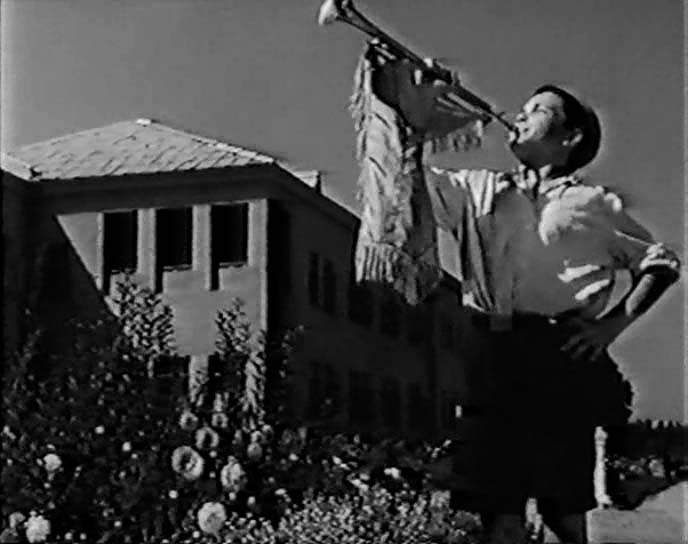 Флаги на башнях