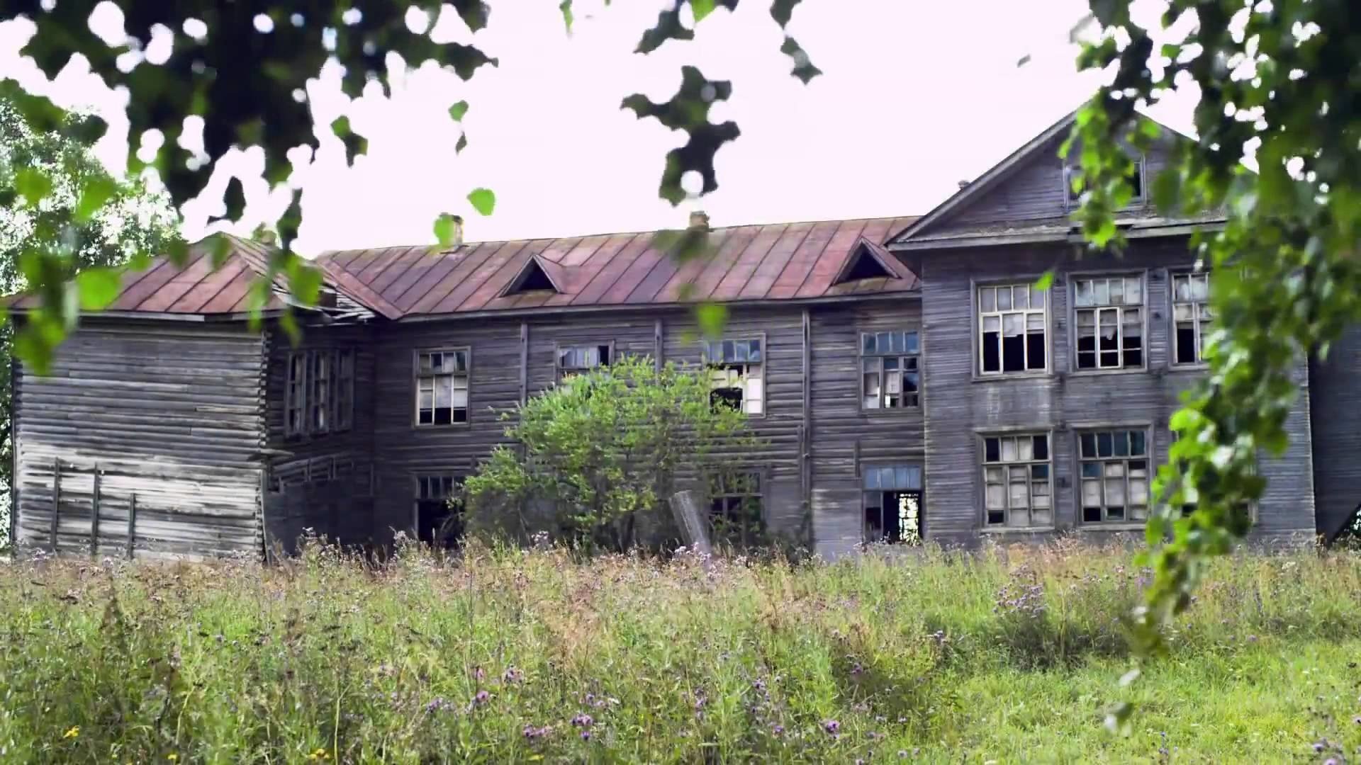 Белые ночи почтальона Алексея Тряпицына