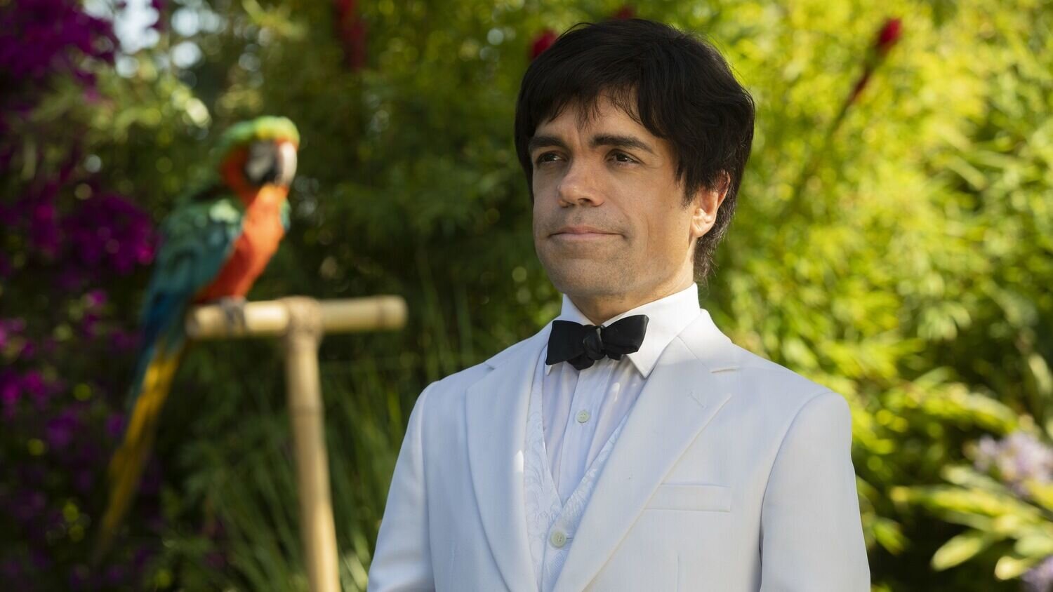 Мой ужин с Эрве