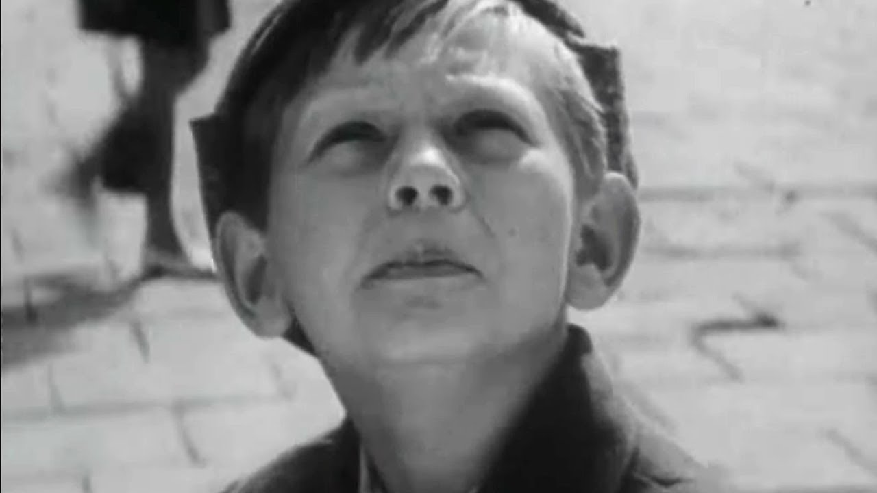 Чудак из пятого «Б»