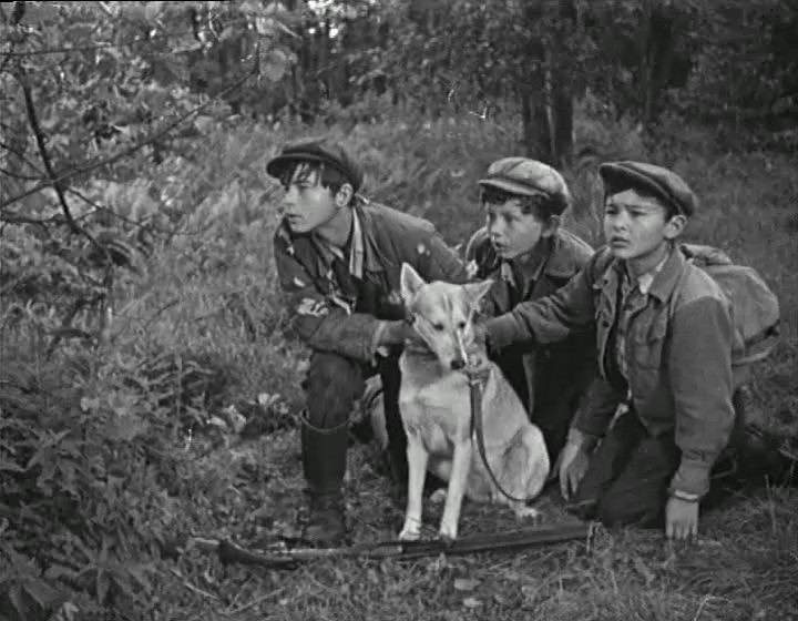 О чем молчала тайга