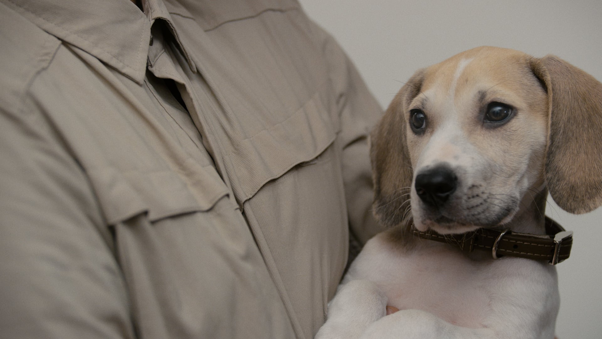 Как воспитать мужа