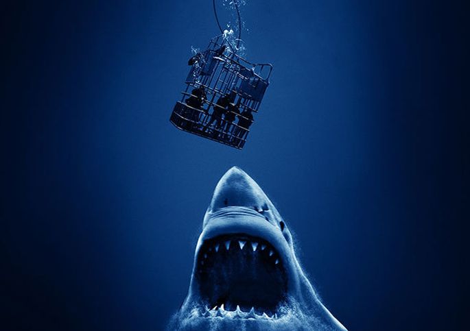 Над глубиной: Хроника выживания