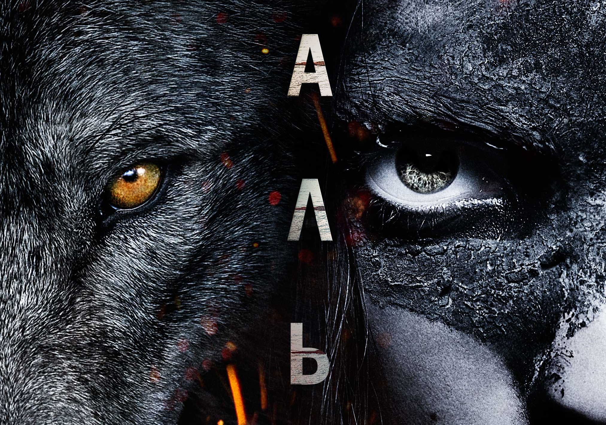 Alpha wallpaper
