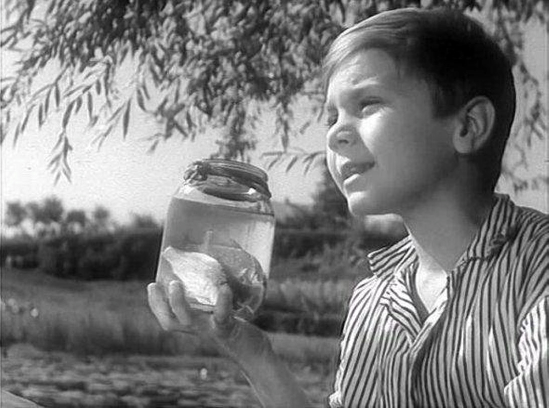 Приключения Толи Клюквина